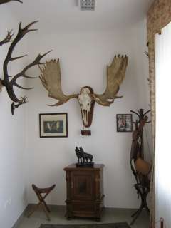 Nyíregyháza, Benczúr tér 21. 29.kép.jpg Nyíregyháza, Benczúr tér 21. 29.kép.jpg